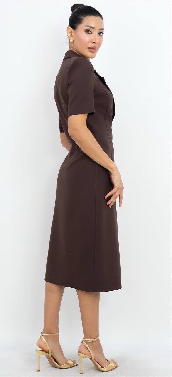 Kısa Kollu Uzun Elbise 3